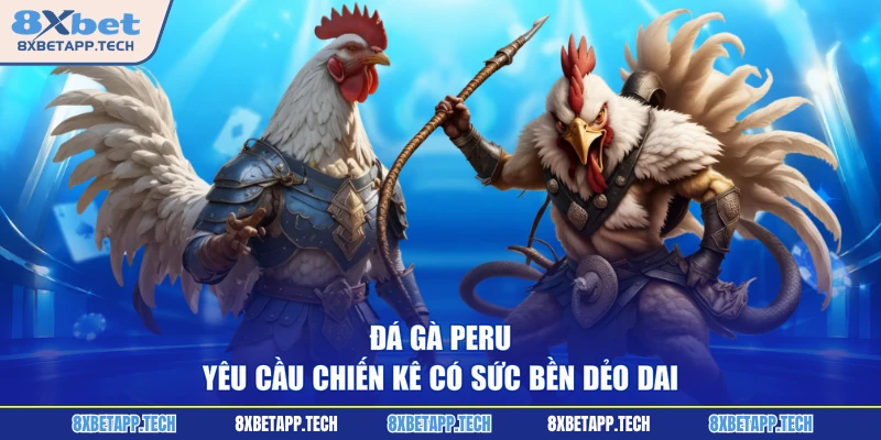Đá gà Peru yêu cầu chiến kê có sức bền dẻo dai