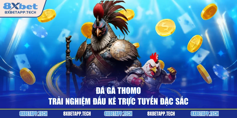 Đá Gà Thomo - Trải Nghiệm Đấu Kê Trực Tuyến Đặc Sắc