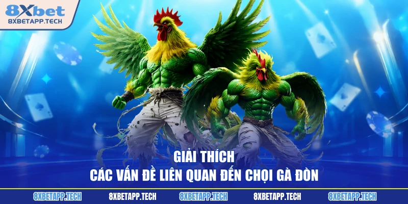 Giải thích các vấn đề liên quan đến chọi gà đòn