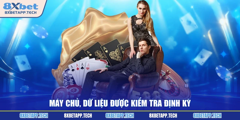 Máy chủ, dữ liệu được kiểm tra định kỳ