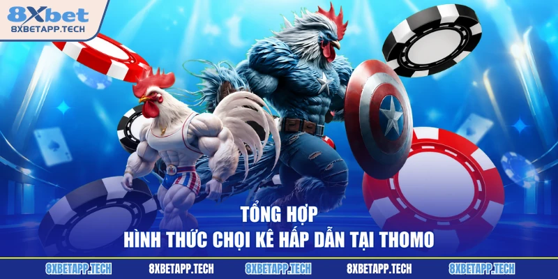 Tổng hợp hình thức chọi kê hấp dẫn tại Thomo