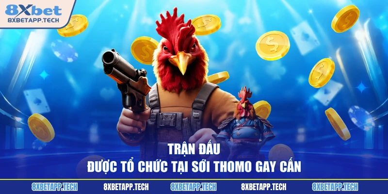 Trận đấu được tổ chức tại sới Thomo gay cấn 