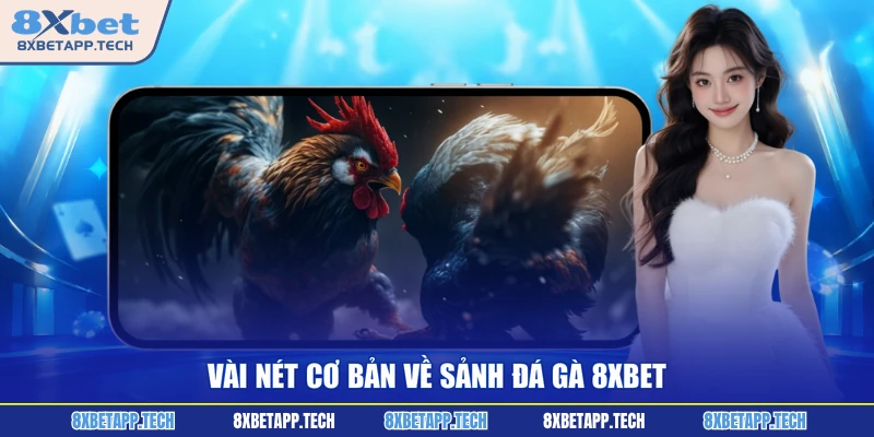 Vài nét cơ bản về sảnh đá gà 8XBET